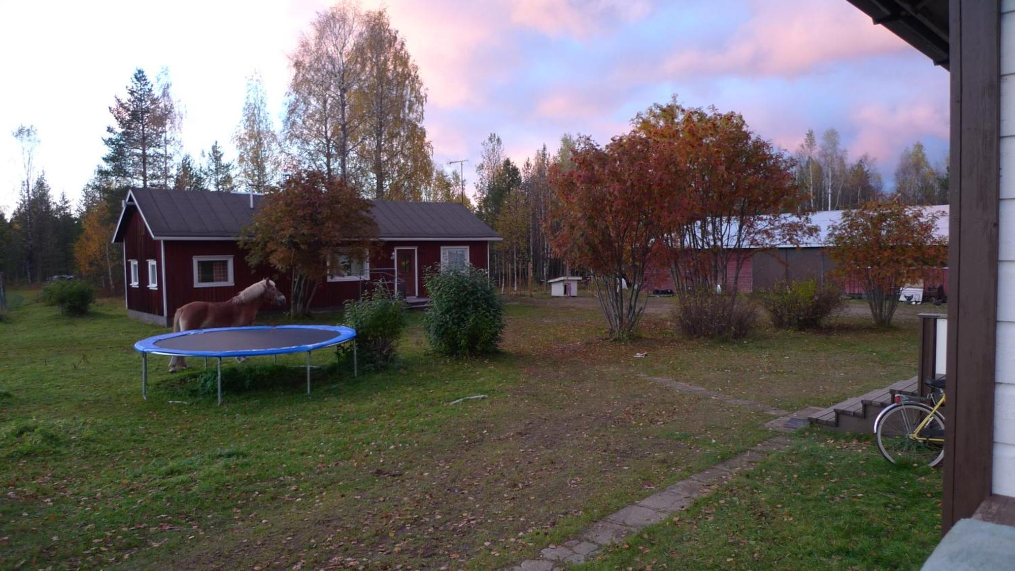 Villa Heidin Mummola Farm Pello Exterior foto
